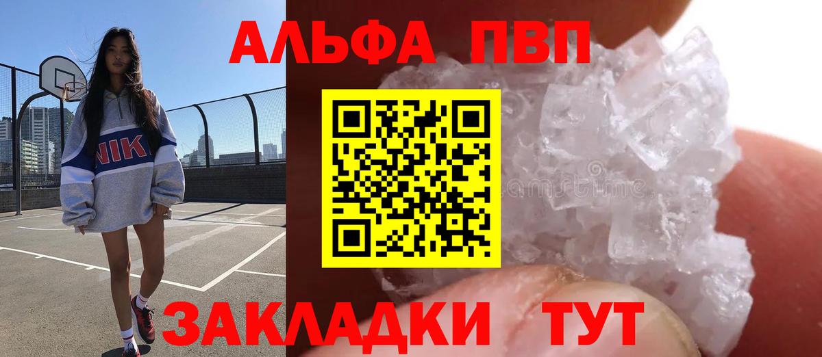 A PVP VHQ Кингисепп
