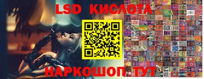 бошки Краснознаменск