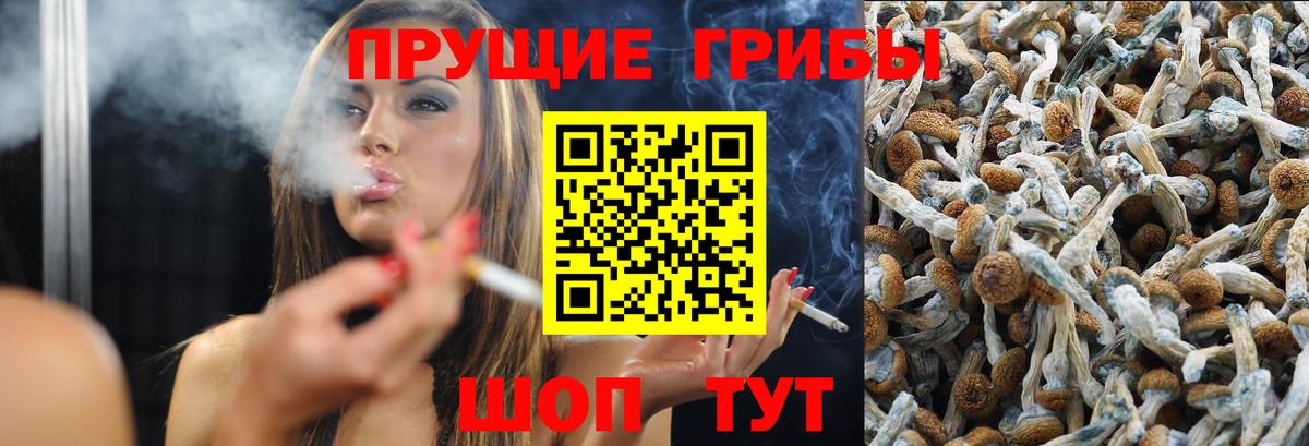 Кингисепп  Галлюциногенные грибы Psilocybe  Вход с VPN  закладка  Галлюциногенные грибы мицелий 